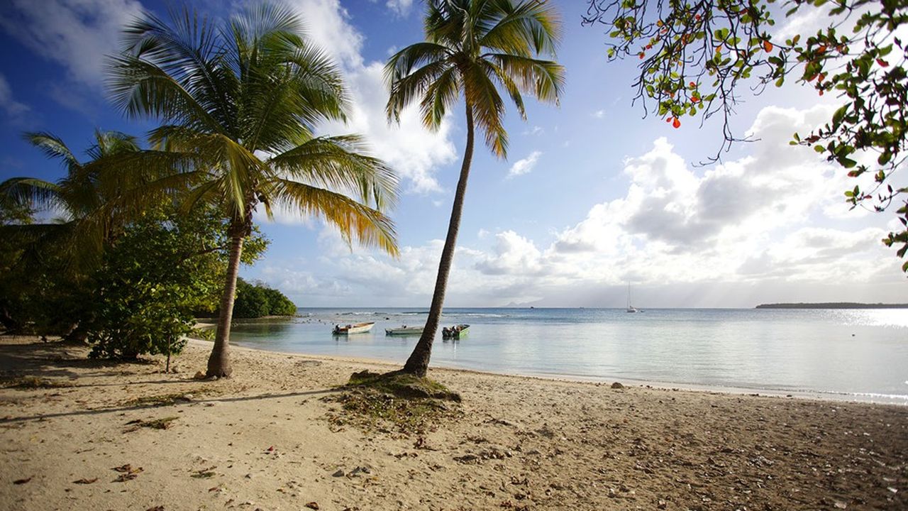 Dans un contexte de restrictions encore nombreuses à l'étranger, de recherche de sécurité sanitaire et de soleil, la Guadeloupe fait partie des destinations actuellement prisées des Français.