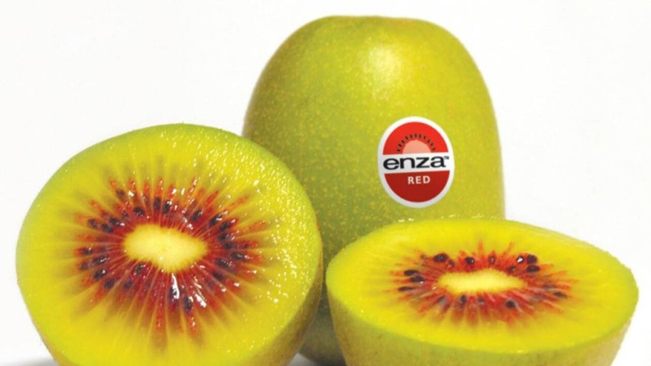 L'entreprise familiale Peruzzo, spécialisée dans les fruits et légumes italiens, a obtenu l'exclusivité de la licence commerciale et de la plantation du kiwi « Rossy » en France jusqu'en 2043.