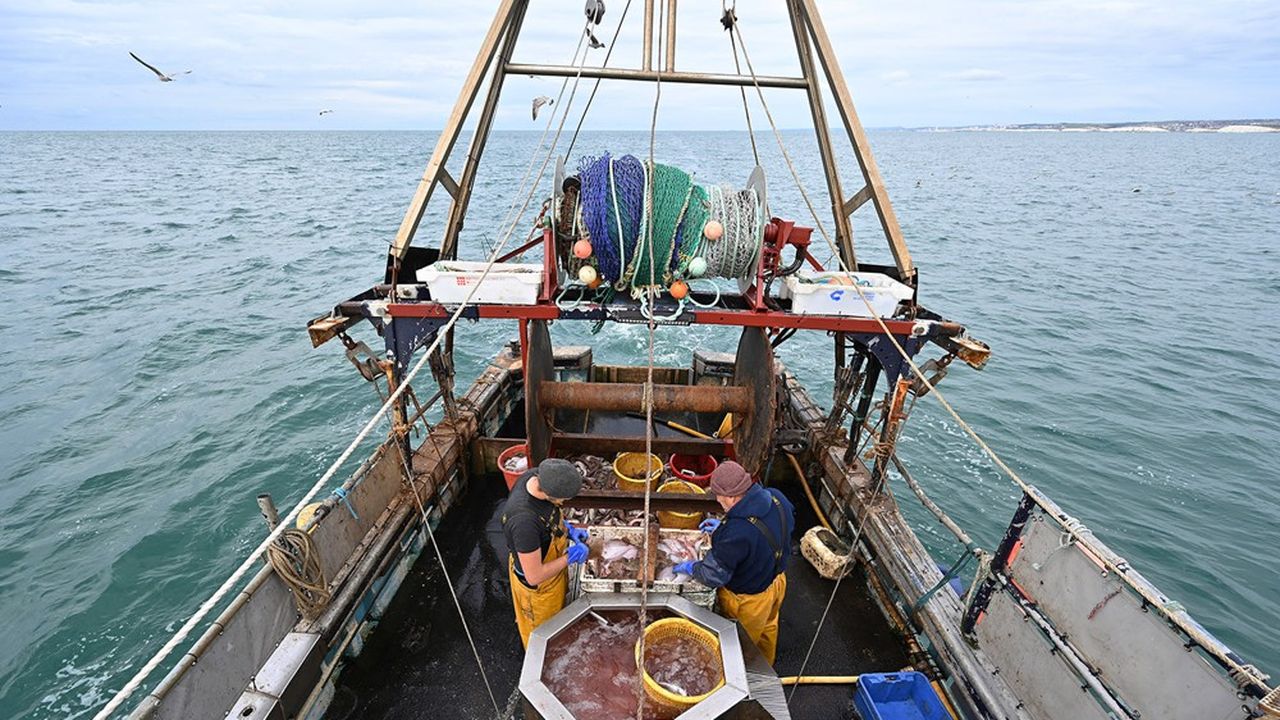 La Fédération nationale des organisations de pêcheurs britanniques se sent flouée par l'accord post-Brexit.