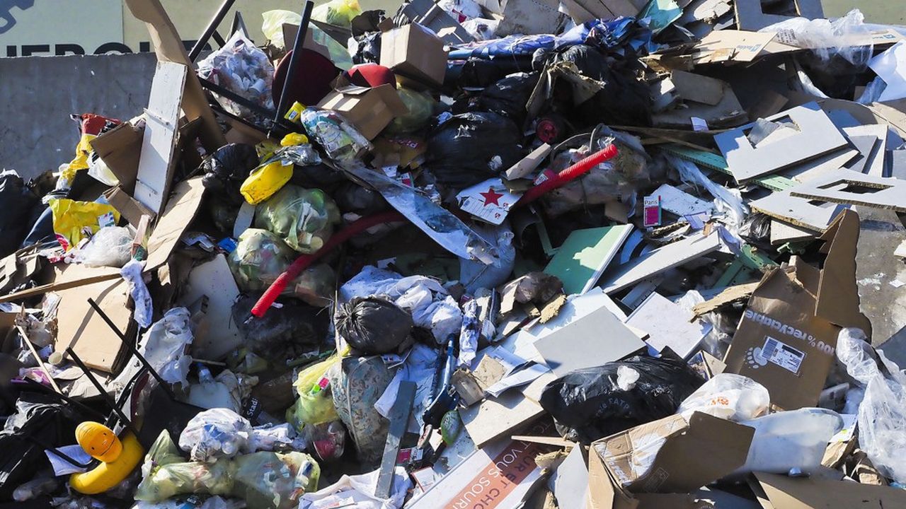 En 2019, Citeo a collecté 44.630 tonnes de déchets d'emballages ménagers et papiers graphiques traités.