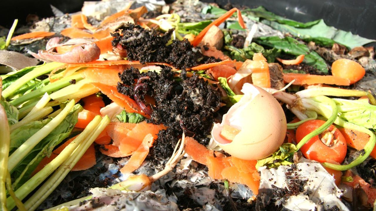 Les déchets organiques représentent un tiers des ordures ménagères non recyclées.
