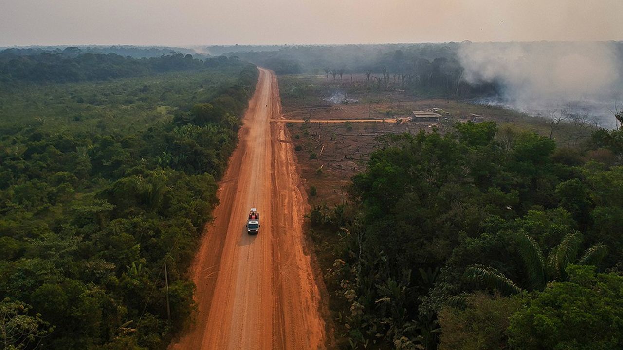 Déforestation et feux massifs à Humaitá.