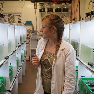 Dans son laboratoire, à Plouzané (Finistère), la doctorante veille sur ses huîtres, support de sa thèse intitulée « L'influence des êtres vivants sur le risque de maladie dans les écosystèmes marins »
