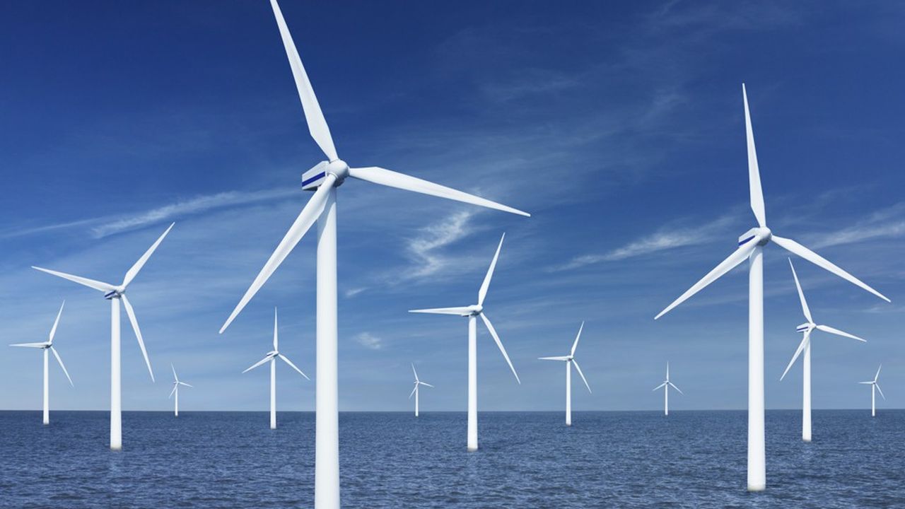 Une zone de 300 km2 a été désignée à proximité de l'île d'Oléron pour accueillir ce parc éolien qui devra produire jusqu'à 1 gigawatt d'électricité.