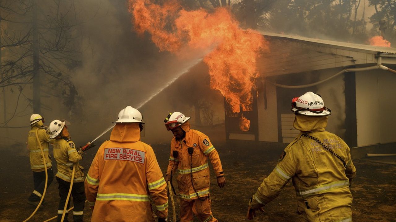 Des pompiers australiens combattent un incendie, le 23 janvier 2020, en Nouvelle-Galles du Sud.