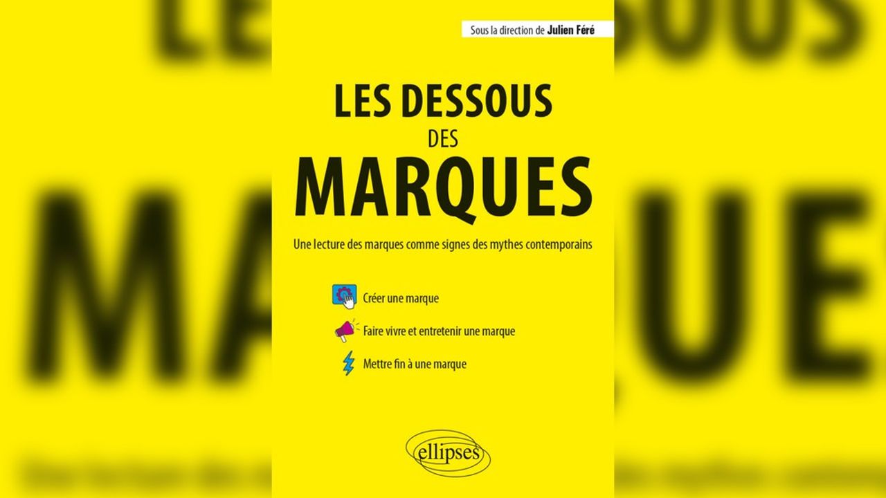 « Les Dessous des marques », sous la direction de Julien Féré, Ellipses, 360 pages, 28 euros.