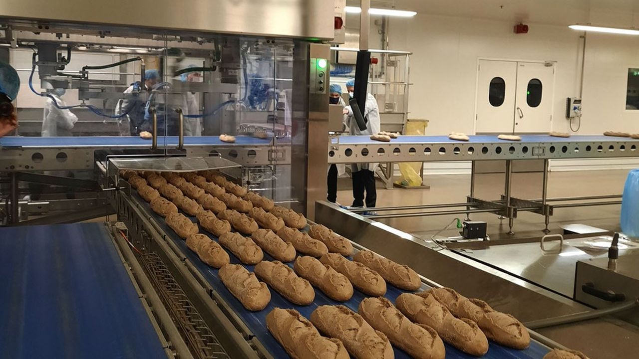 Le site pourra produire 100.000 tonnes supplémentaires de pain par an à l'horizon 2024.