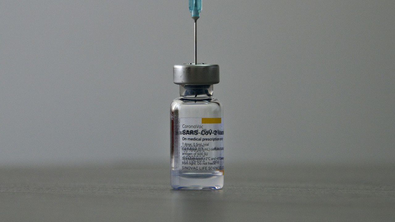 Le vaccin de Sinovac a été testé dans plusieurs pays, dont le Brésil et la Turquie.