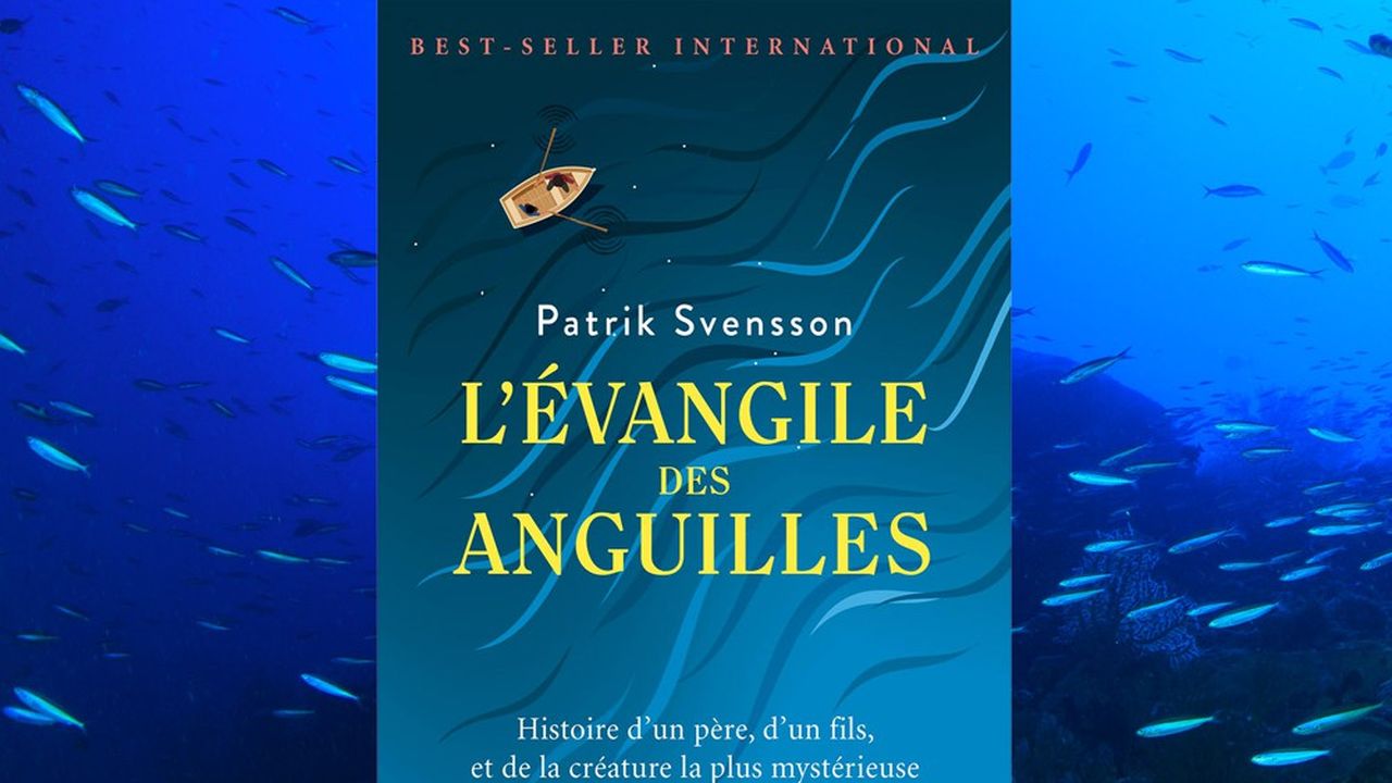 « L'Evangile des anguilles » se veut à la fois une autobiographie, un traité d'histoire naturelle et un poème cosmique envoûtant.