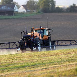 Une courte majorité (57 %) des exploitations agricoles se situe dans la moyenne des consommations de pesticides, selon un rapport de la Fondation Nicolas Hulot.