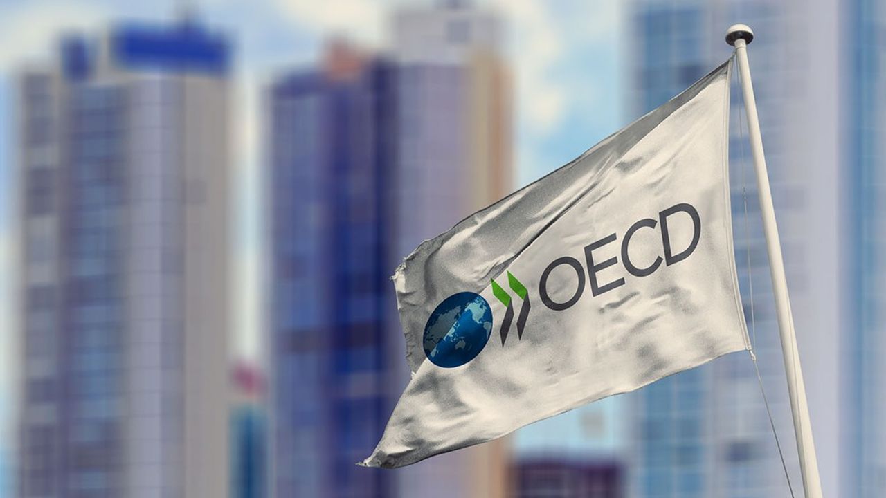 Les économistes de l'OCDE redoutent une vague de faillites à venir dès que le soutien des Etats s'arrêtera.