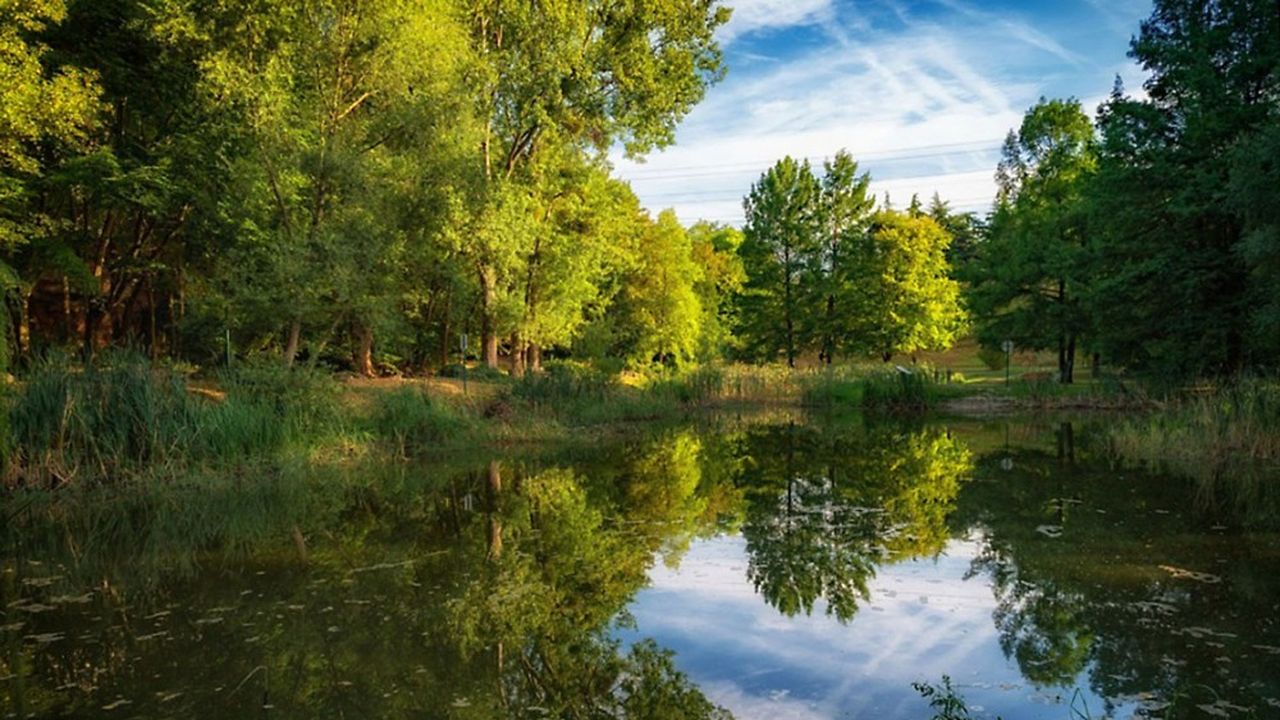 L'agglomération de Cergy-Pontoise souhaite mener une valorisation écologique de la mare des Larris, située dans le parc du même nom, à Pontoise.