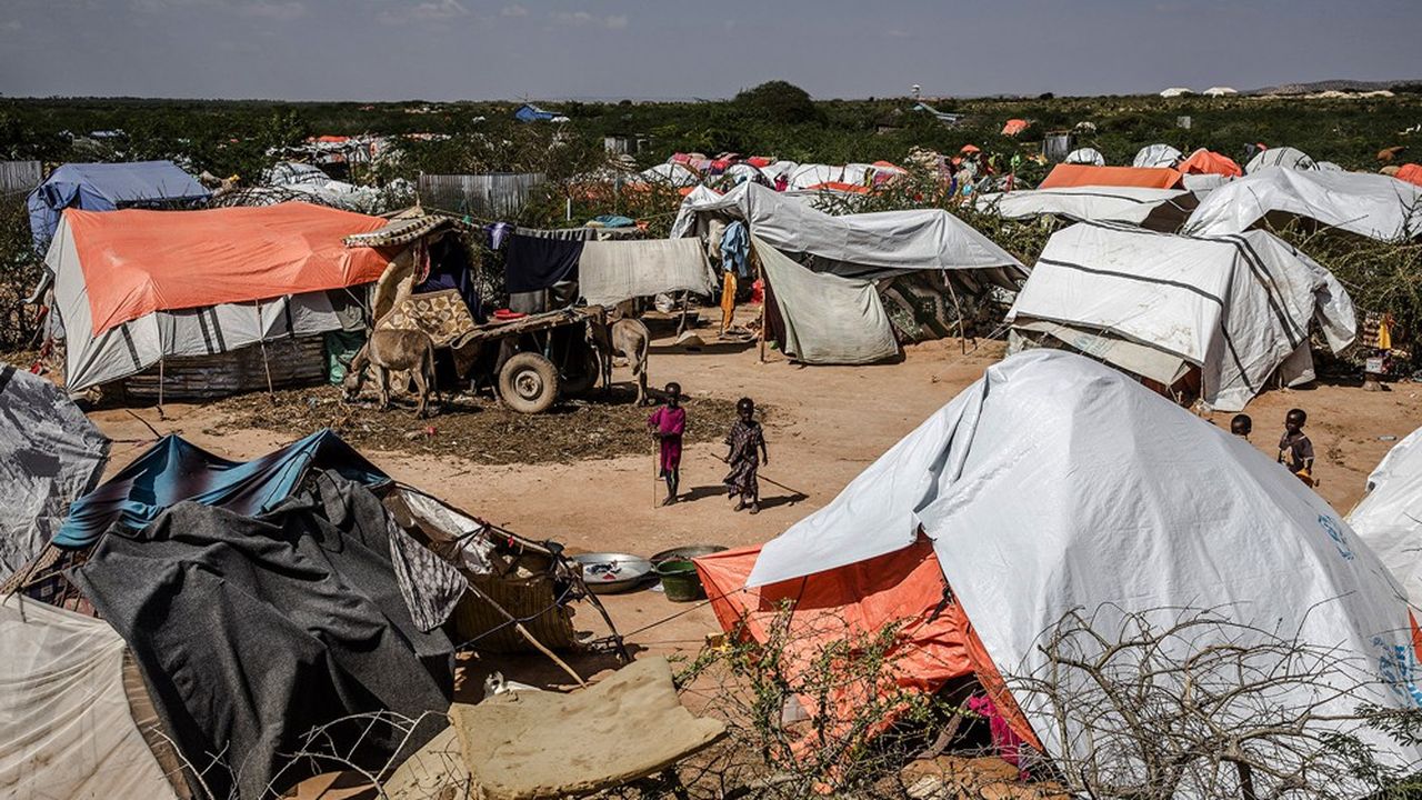 D'ici 2050, quelque 143 millions de personnes devraient être obligées de quitter leur région d'origine à cause du réchauffement climatique selon la Banque mondiale.