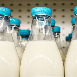La plupart des distributeurs ont signé des accords pour revaloriser les prix d'achat du lait aux producteurs français.