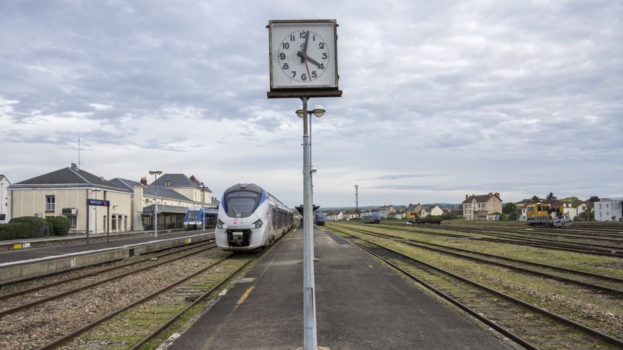 En 2022, Railcoop prévoit d'ouvrir une ligne dédiée au transport de passagers entre Lyon et Bordeaux.