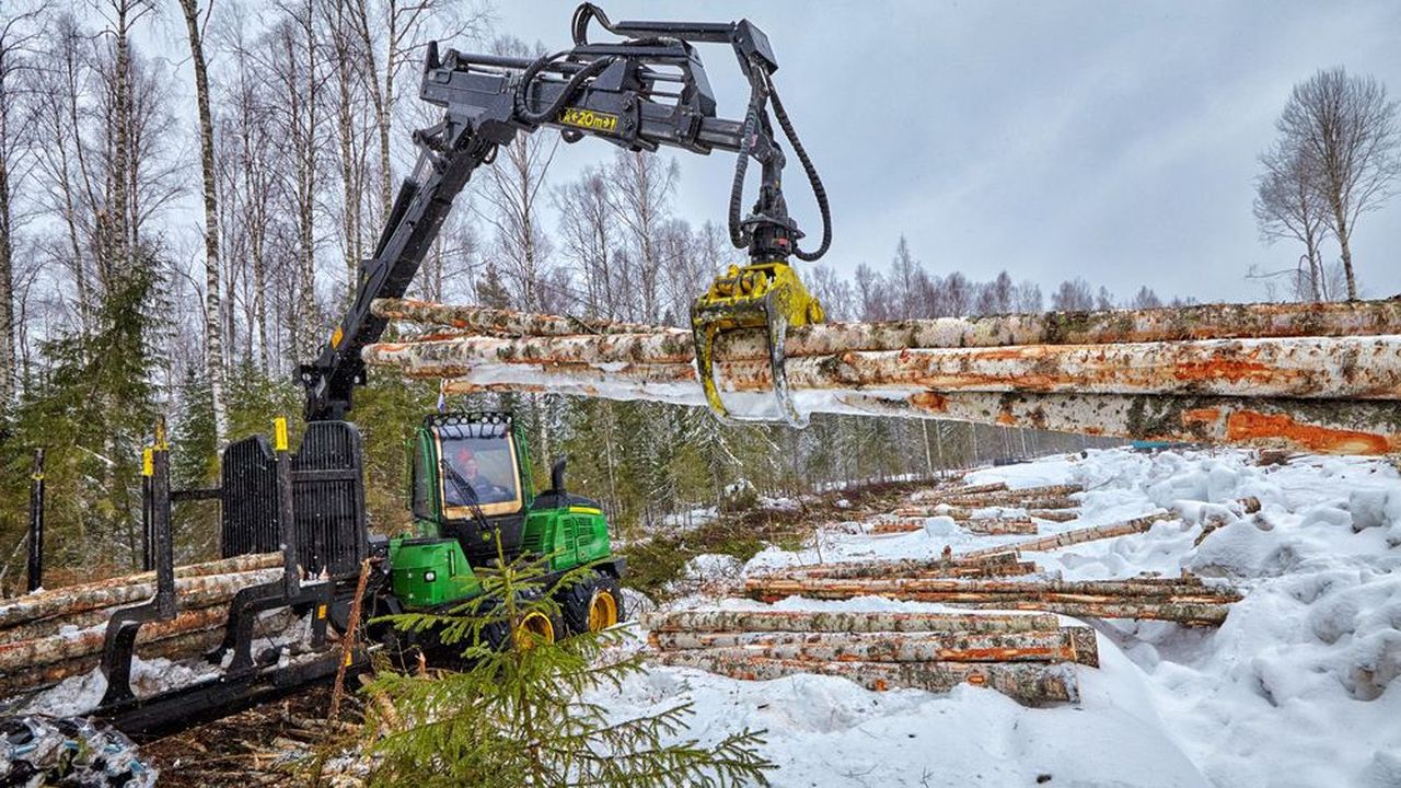 Le groupe Segezha a accéléré l'exploitation des forêts, notamment dans les régions autour du site de Sokol, au nord de Moscou. La Russie abrite un arbre sur quatre sur la planète.
