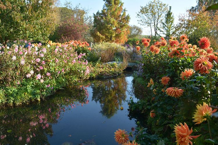 Plan d'eau du jardin du peintre André Van Beek dans l'Oise.