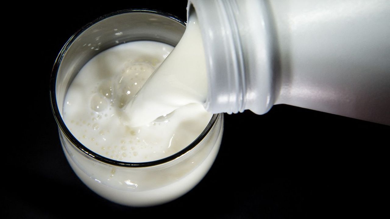 Le lait est conditionné à la laiterie Lorco installée dans la commune de Pont-Scorff.