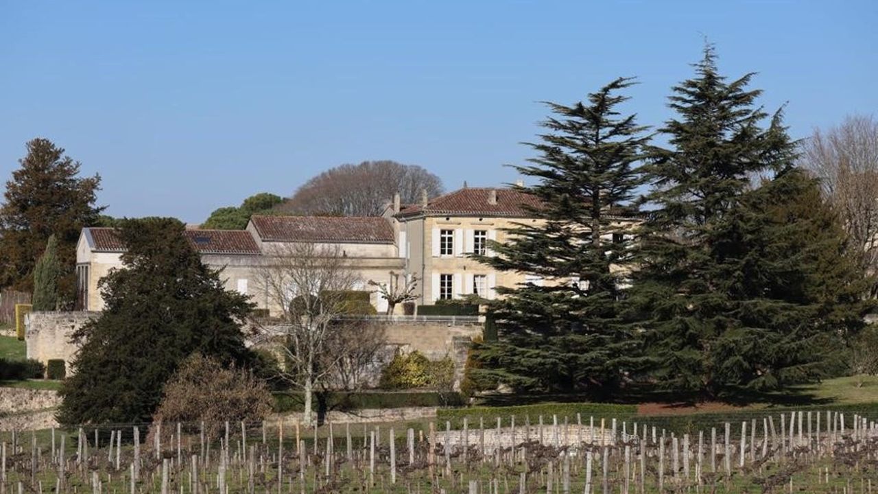 La propriété située à Saint-Emilion, qui possède à peine plus de 6 hectares de vignes, a été vendue pour 75 millions d'euros.