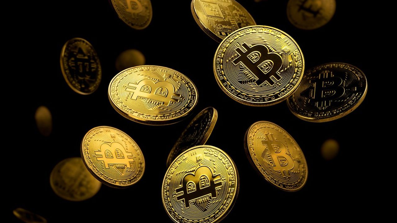 Le bitcoin s'inscrit parfaitement dans les deux vents de l'histoire des bulles : la terre promise et l'innovation financière.