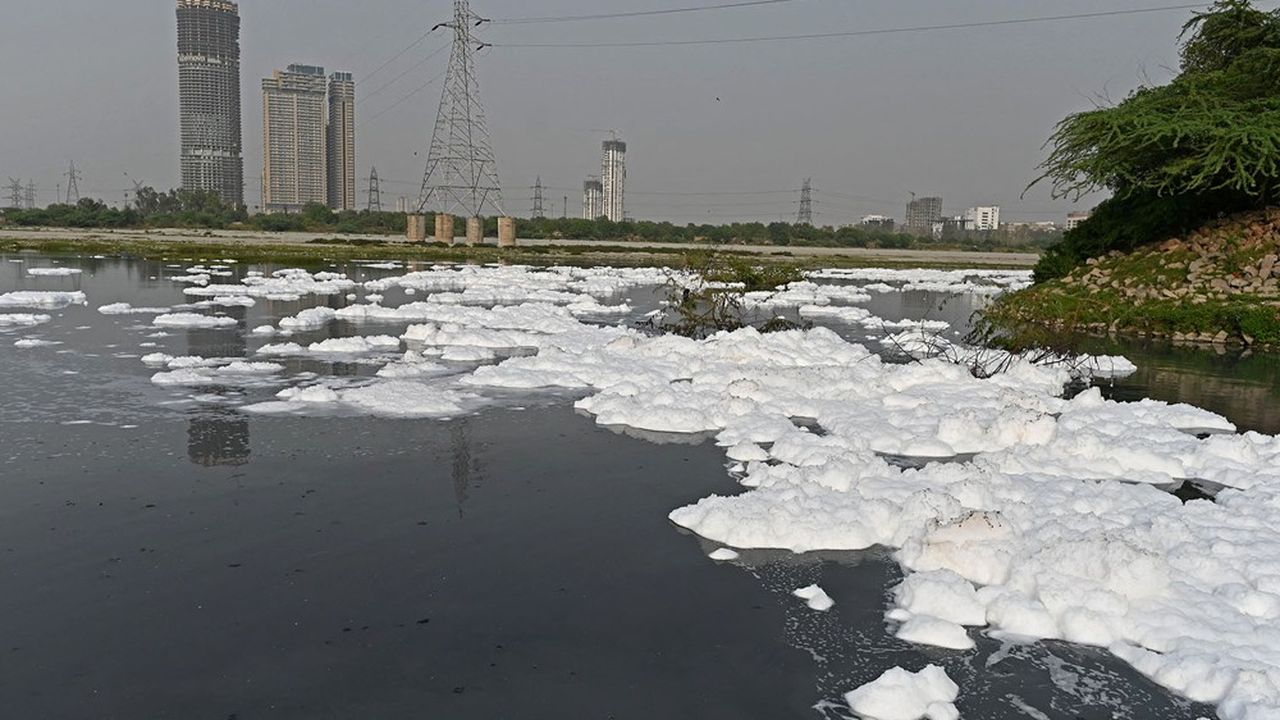 Une rivière couverte de mousse à cause de la pollution, à New Delhi, en mars dernier.