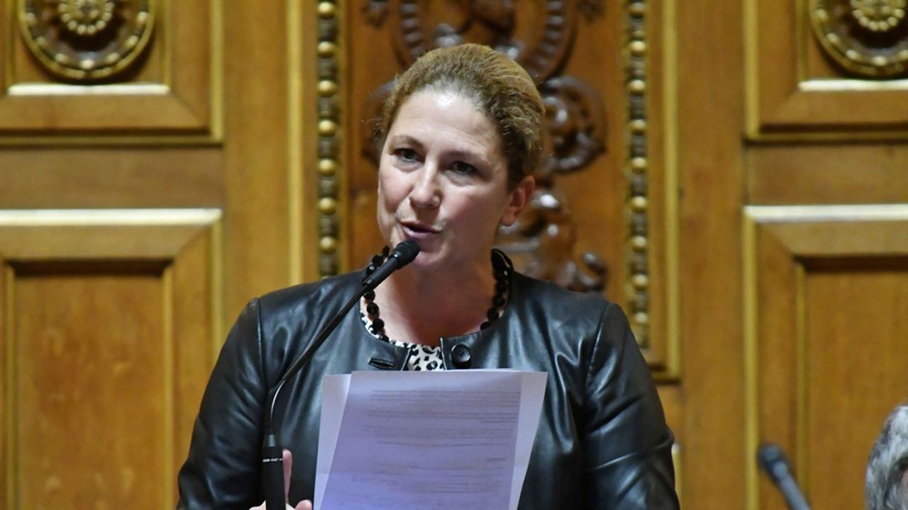 Sénatrice et conseillère départementale dans le canton de Gif-sur-Yvette, Laure Darcos hérite de la délicate mission de remettre de l'ordre dans un parti divisé