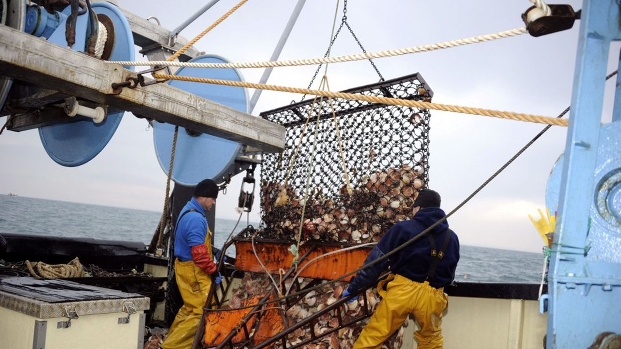 Le groupe espagnol Iberdrola, qui porte ce projet d'un montant global de 2,4 milliards d'euros, marche sur des oeufs car les pêcheurs se disent prêts à bloquer le chantier.