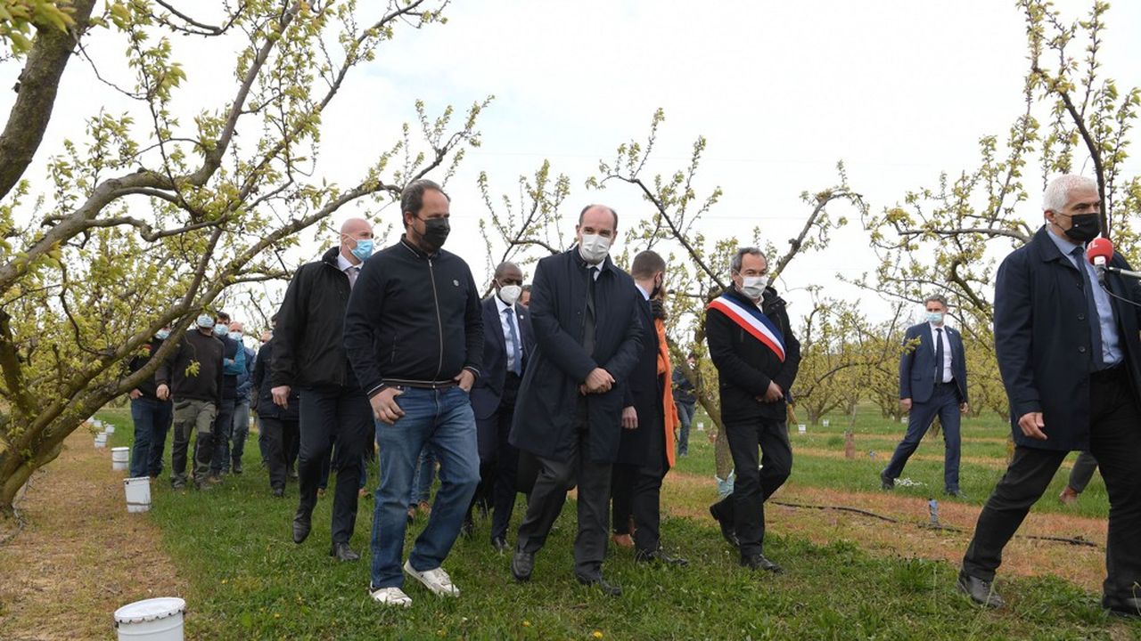 Le Premier ministre Jean Castex en visite à Colombier-le-Cardinal (Ardèche), le 10 avril, dans une exploitation d'arbres fruitiers touchée par un violent épisode de gel.