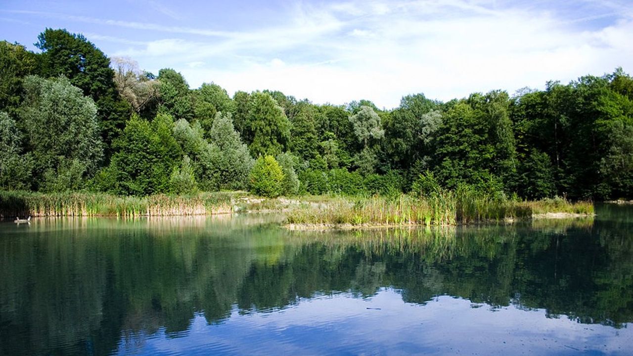 La forêt de Carnelle, dans le Val-d'Oise, intègre le périmètre du Parc naturel régional Oise-Pays de France