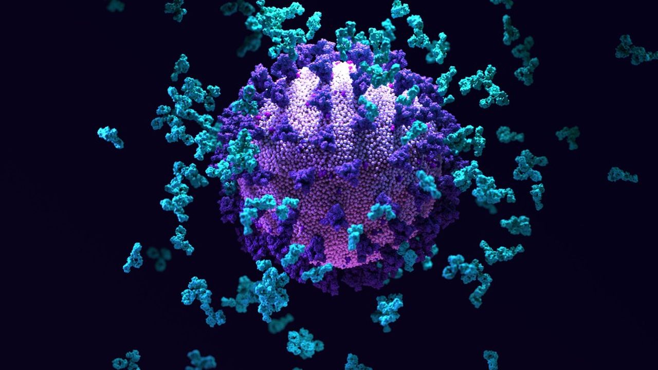 Des anticorps anti-SARS-CoV-2 autour du coronavirus.