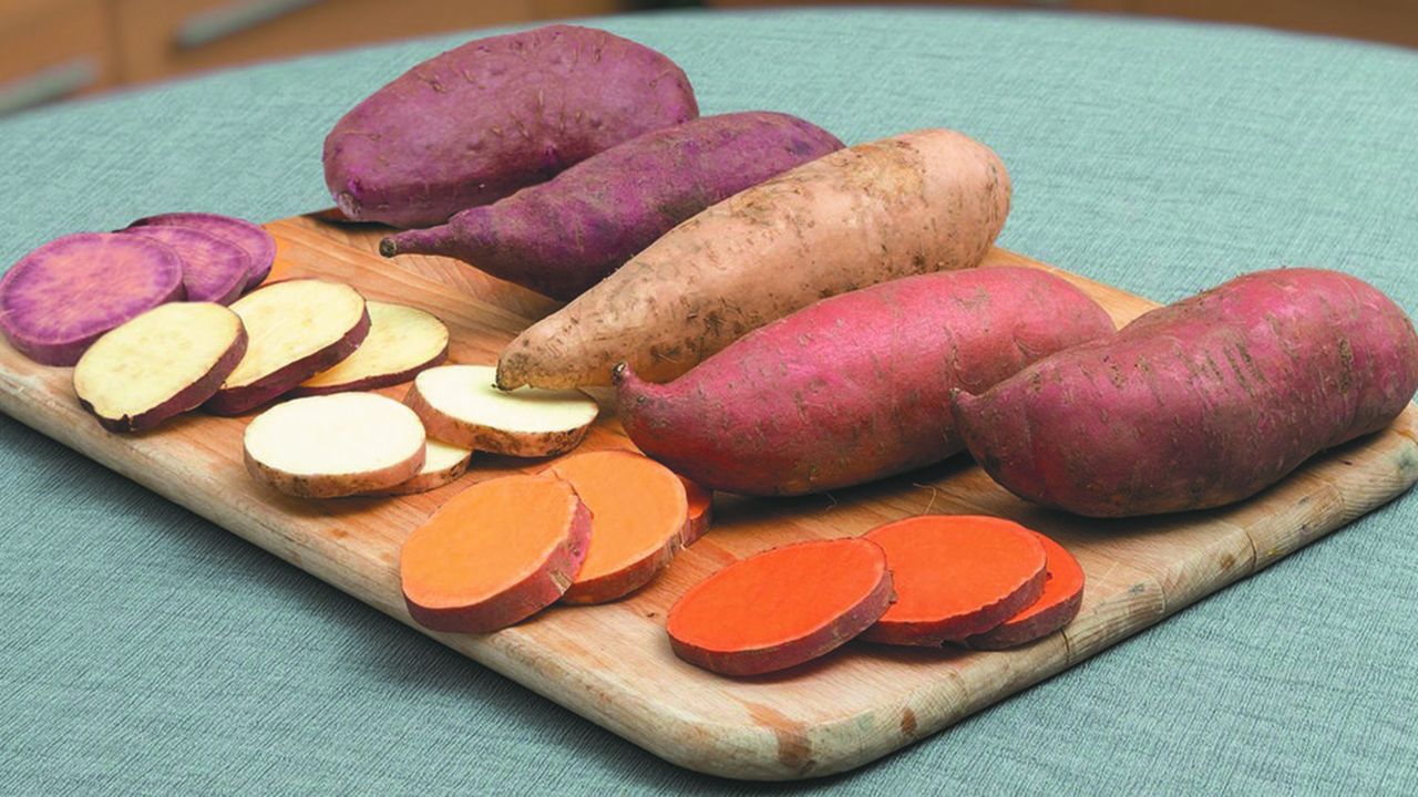 Une vue de différentes variétés de patates douces spécialisées selon l'utilisation du consommateur (purée de patates douces, frites de patates douces, etc.).