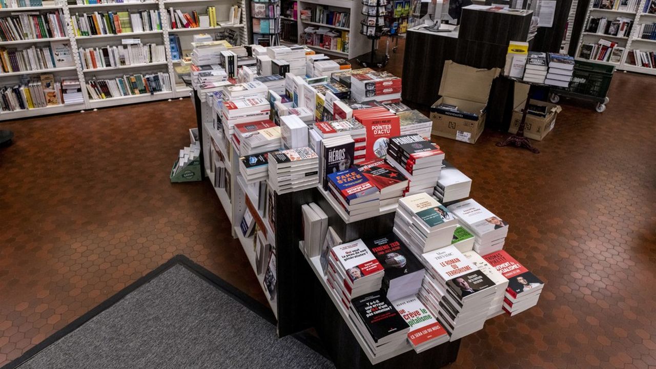 Depuis des années, le Syndicat de la librairie française bataille contre la quasi-gratuité des frais de livraison, dénonçant un contournement de la loi Lang.