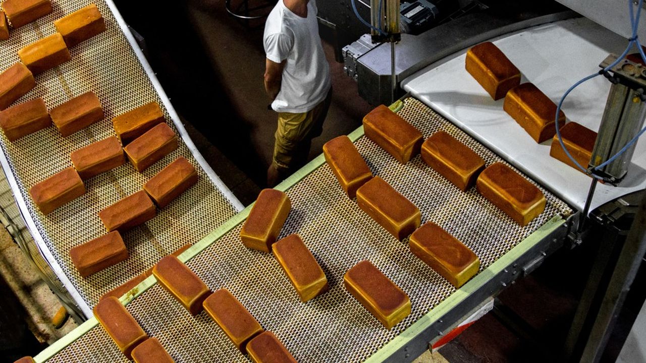 Vicky Foods vise une production de 14.000 tonnes de pain de mie et un chiffre d'affaires de 25 millions d'euros pour la première année.