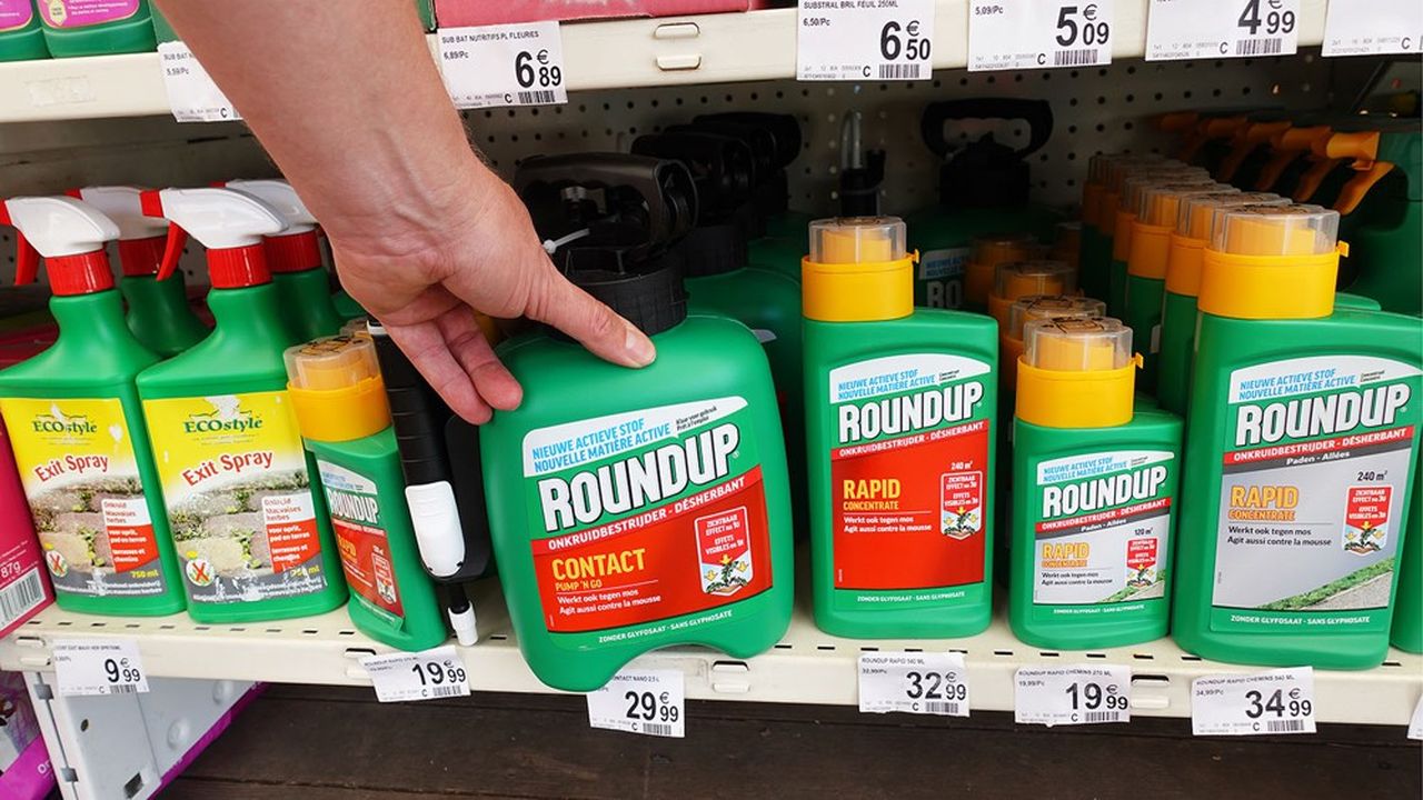 Bayer envisage de modifier la composition du Roundup utilisé par les particuliers pour désherber leur jardin.