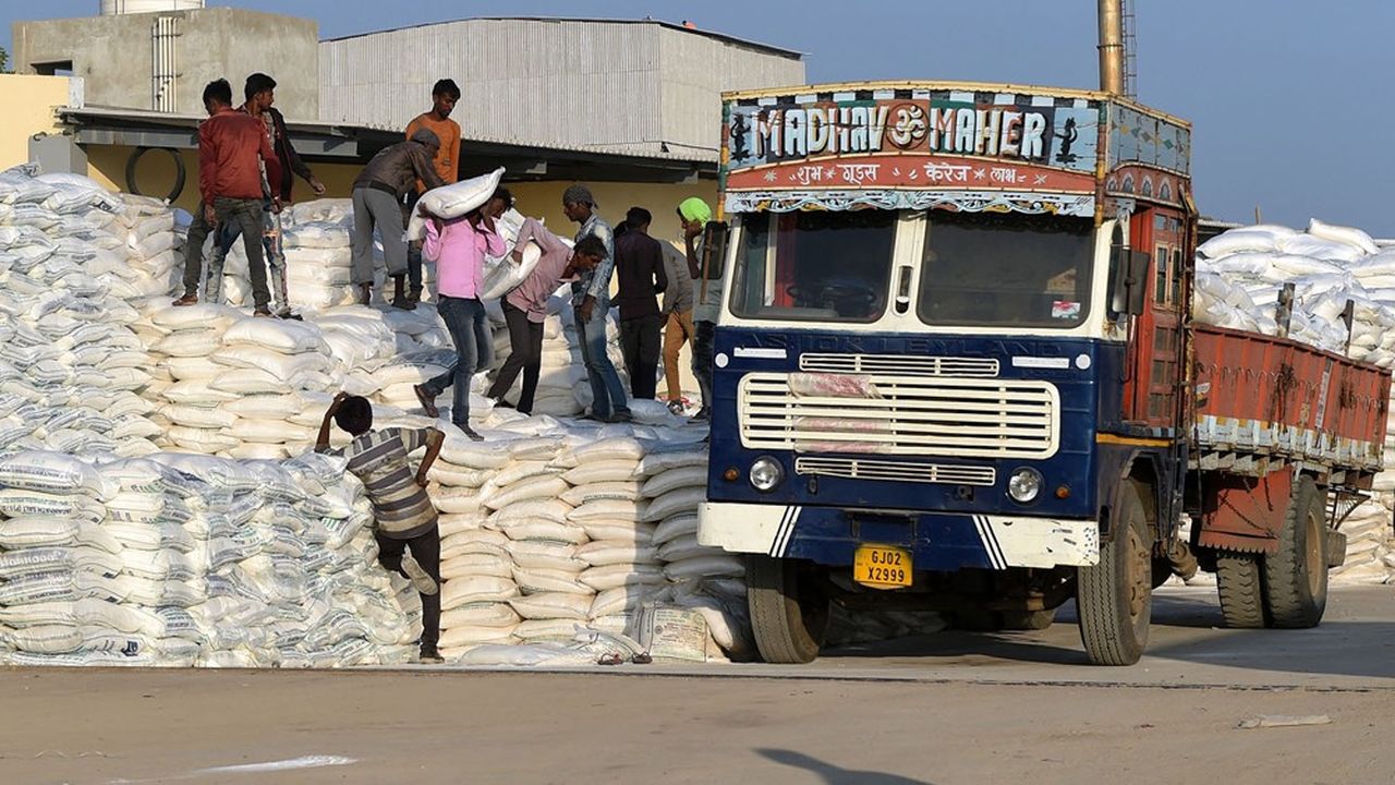 Des hommes chargent des sacs de sel sur un camion dans le village de Kharaghoda, à 120 kilomètres d'Ahmedabad, en Inde.