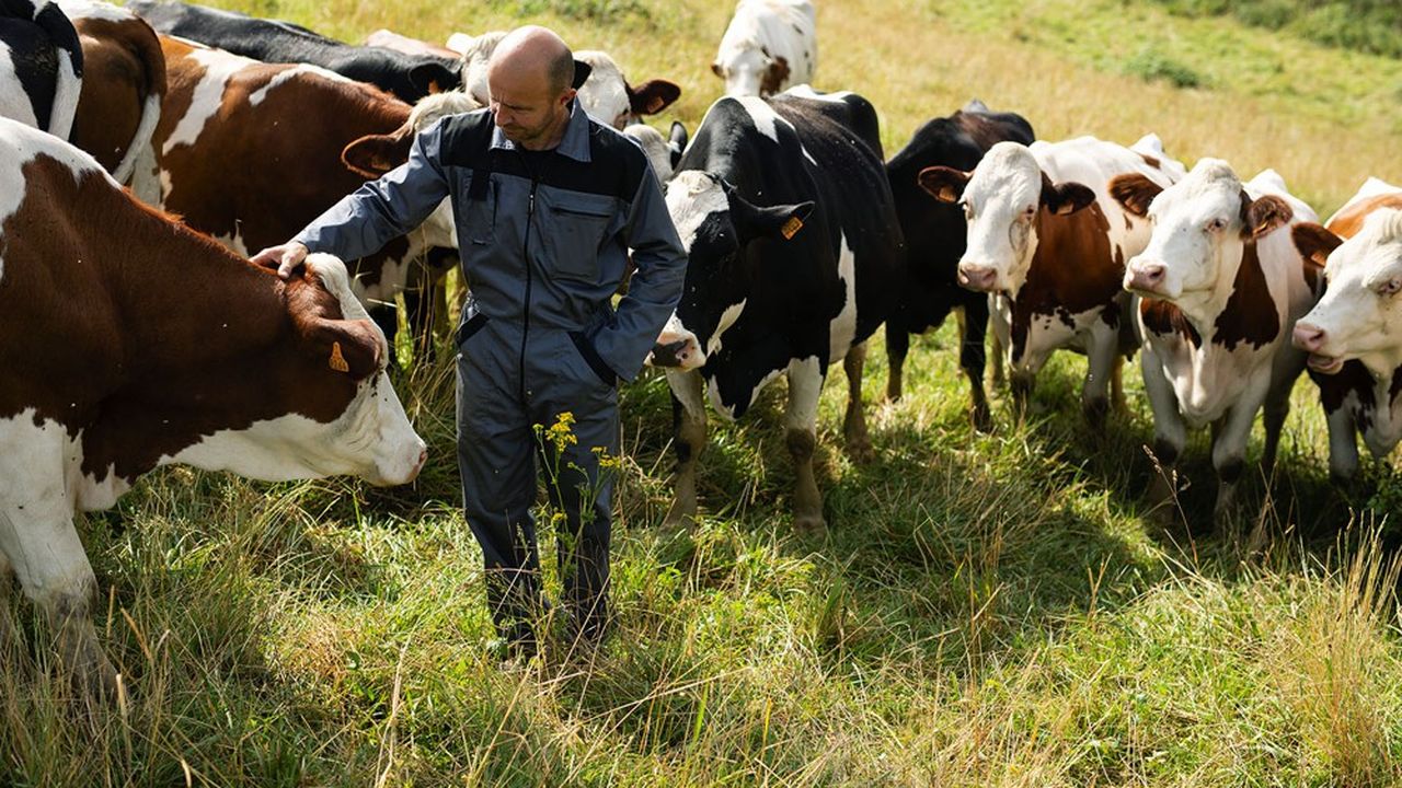 Le géant de l'agroalimentaire est prêt à accompagner sur la durée les éleveurs basculant vers une alimentation 100 % française pour leurs vaches.