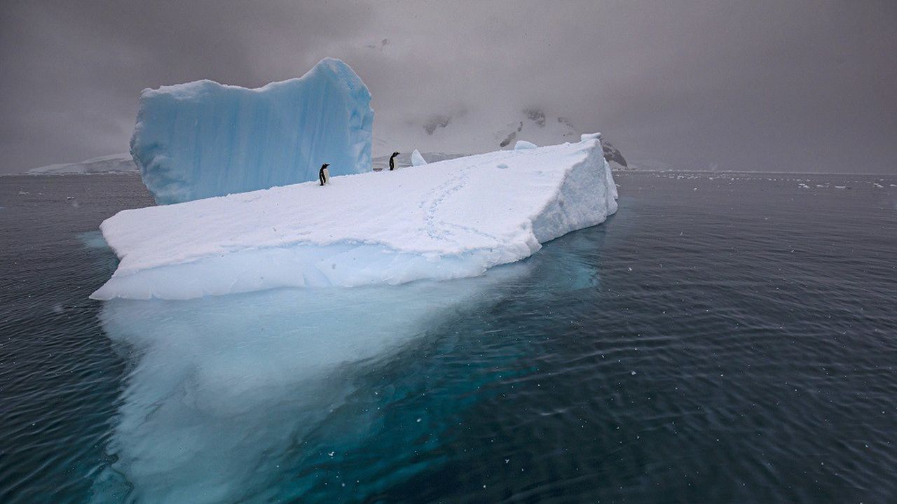 L'épaisseur de la banquise est estimée en mesurant la hauteur de la glace au-dessus de l'eau