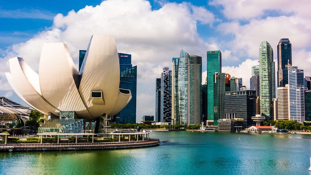 Les fonds d'investissement étatiques de Singapour - GIC et Temasek - ont été particulièrement actifs en 2020.
