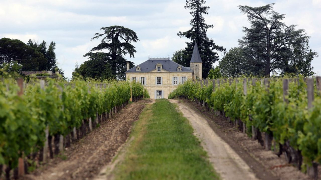 Château Cheval Blanc fait partie de l'élite de l'appellation Saint-Emilion avec Château Ausone, Château Angelus et Château Pavie.