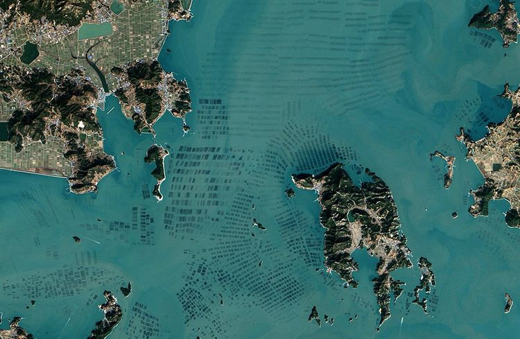 Vue aérienne d'une ferme d'algues en Corée du Sud. 