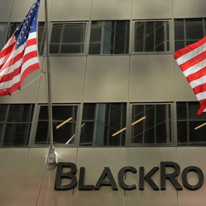 Sur les quelque 9.500 milliards de dollars d'actifs gérés par BlackRock, seuls quelques pourcents sont considérés comme responsables ou verts.