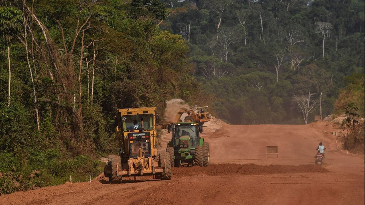Dans l'Etat du Para au Brésil, la forêt amazonienne est traversée par la route Transamazonienne qui relie le Pérou à l'Atlantique.