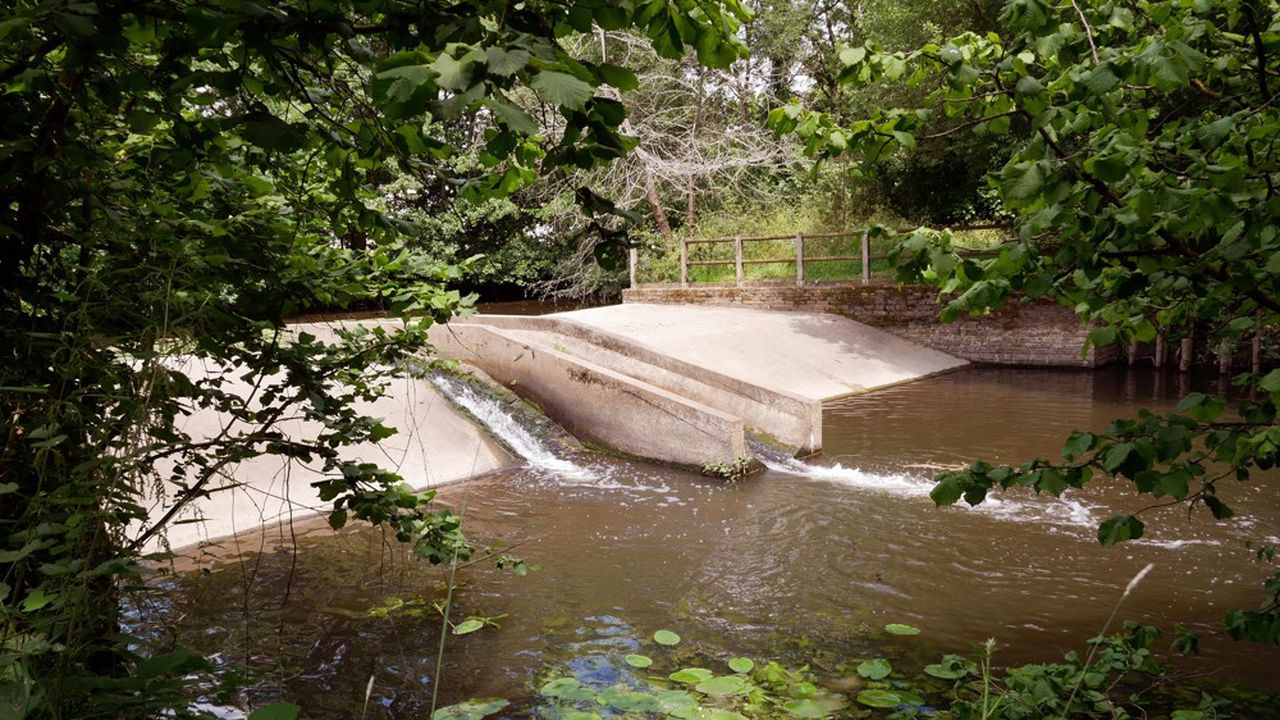 L'ouvrage de Basse-Lardière va être supprimé pour rétablir le cours naturel de l'Yon.