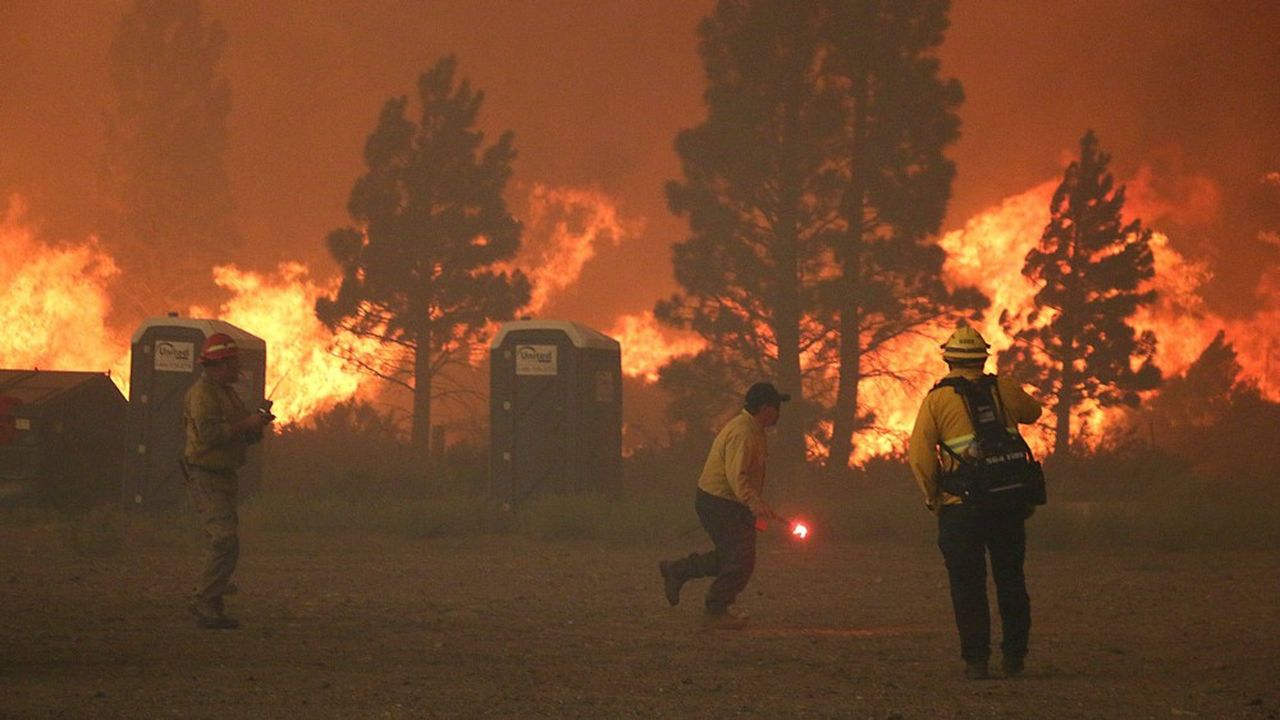 L'incendie de Tamarack dans l'Ouest californien a déjà brûlé 277 km2 de forêts.