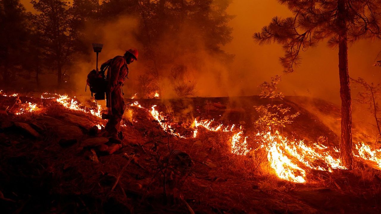 L'incendie Dixie Fire a réduit en cendre un peu plus de 198.000 hectares.