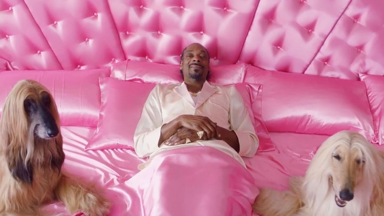 Pour rafler la mise aux Etats-Unis, Klarna s'est offert les services du célèbre rappeur Snoop Dogg pour sa campagne marketing.