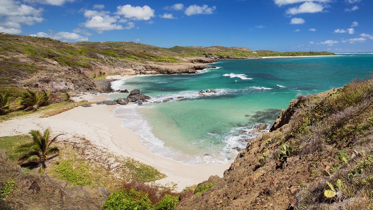 Les plages de Martinique et de Guadeloupe se sont de nouveau vidées.