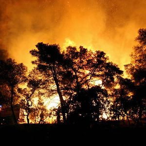 Selon la Préfecture du Var 4.000 hectares ont été brûlés