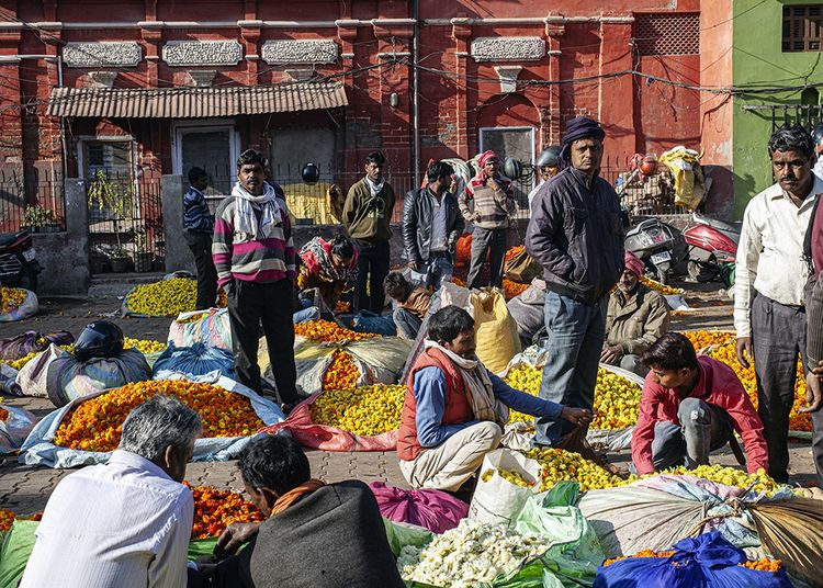 Le marché aux fleurs de Kanpur se tient tous les jours sur une place entourée de trois temples hindous.