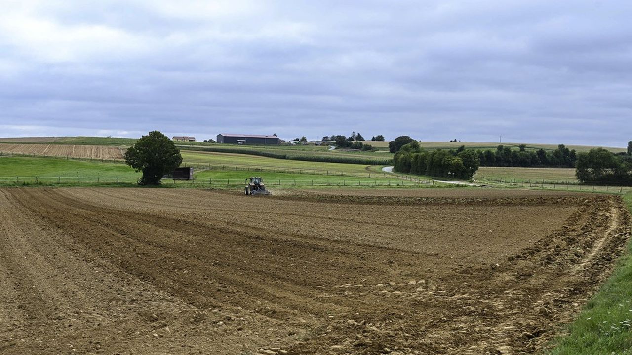 Deux millions d'euros seront débloqués afin d'acquérir des terrains à vocation agricole.